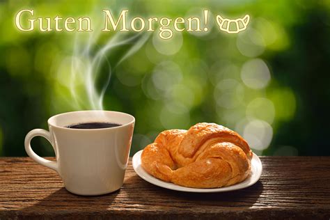 bilder guten morgen|schöne bilder von guten morgens.